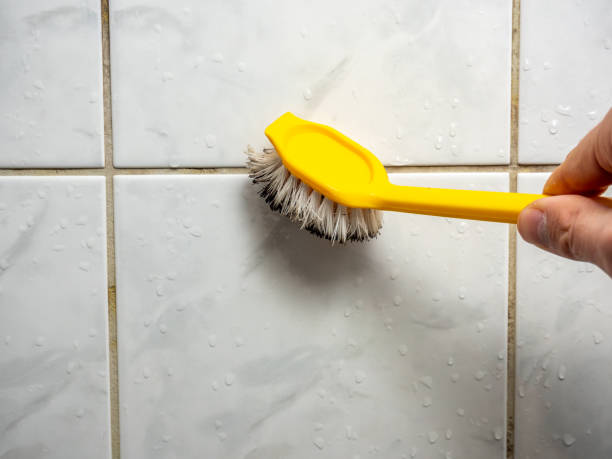 Best Mold Damage Repair  in Des Peres, MO