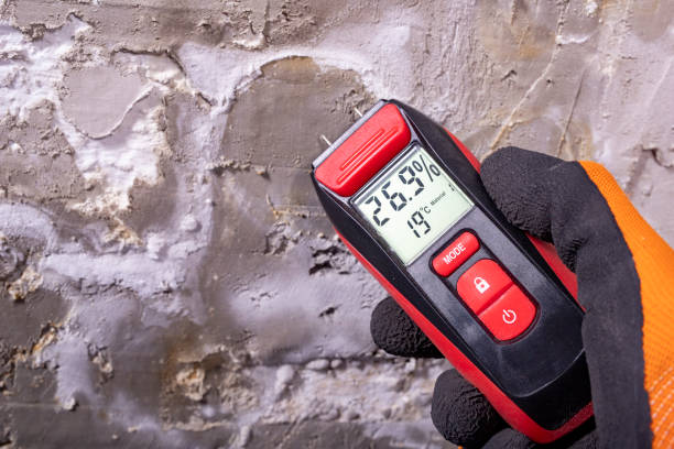 Best Commercial Mold Removal  in Des Peres, MO