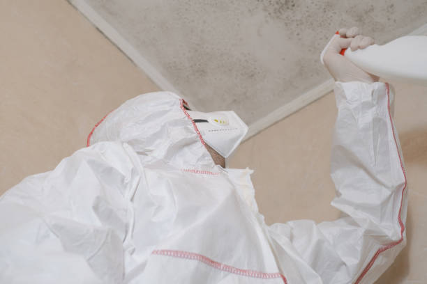 Best Professional Mold Removal  in Des Peres, MO